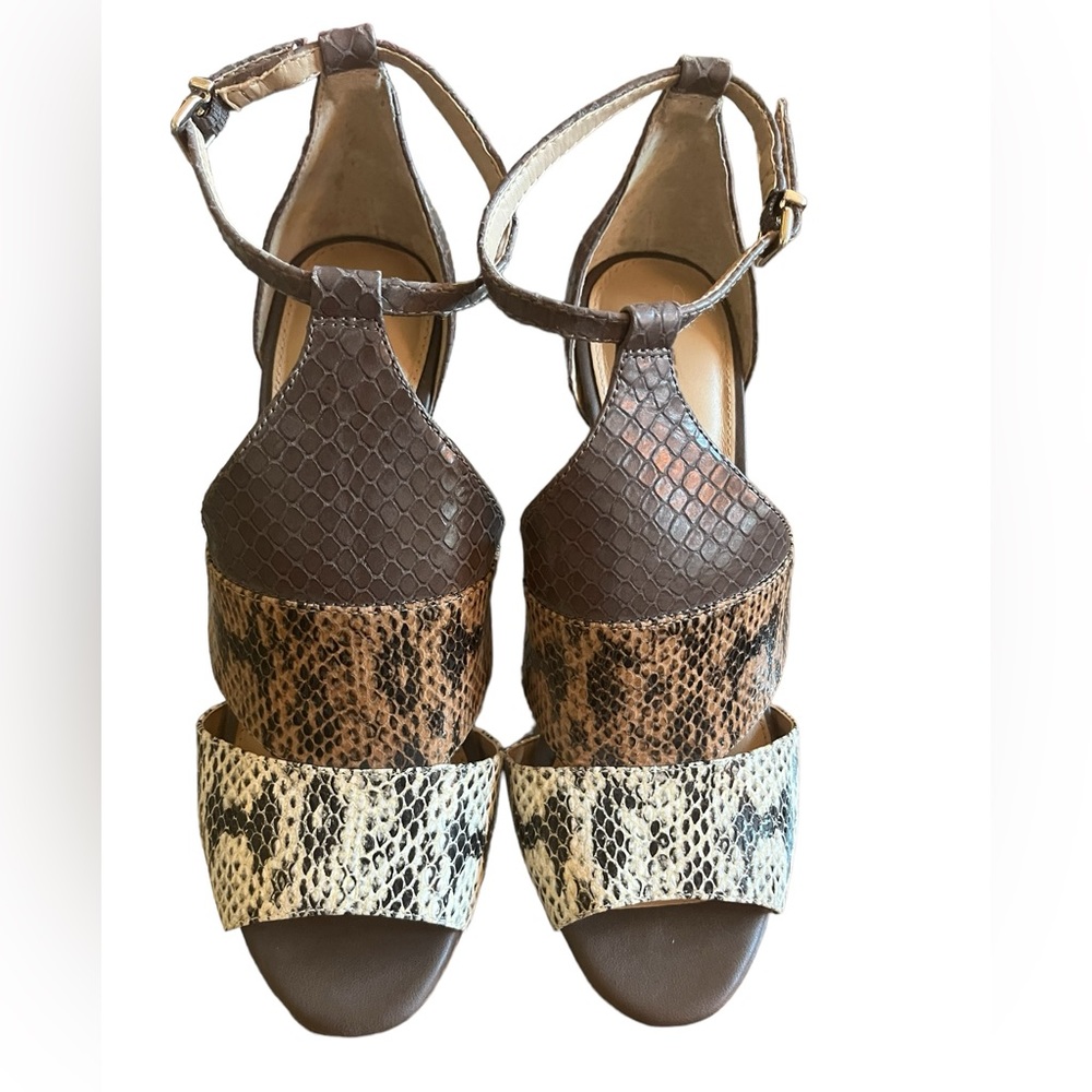 Antonio Melani Shoes - Picture 2 of 4